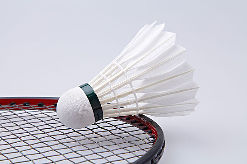 沙特队的两 沙特队的两